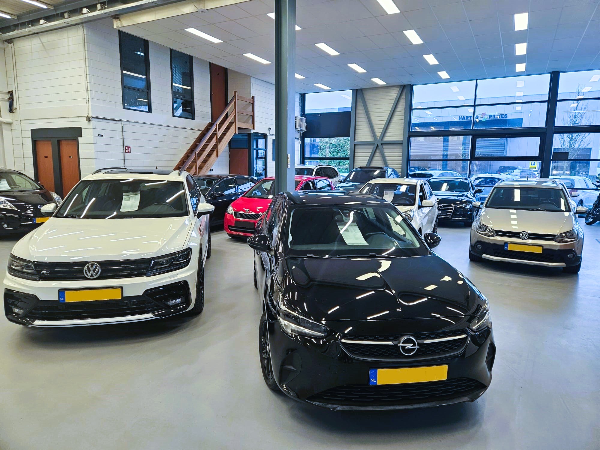 showroomspeccool